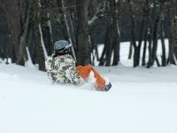 Niagara Sledding