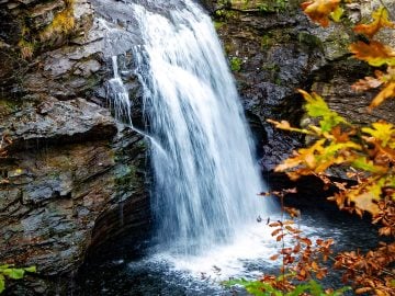 Niagara Waterfalls Autumn