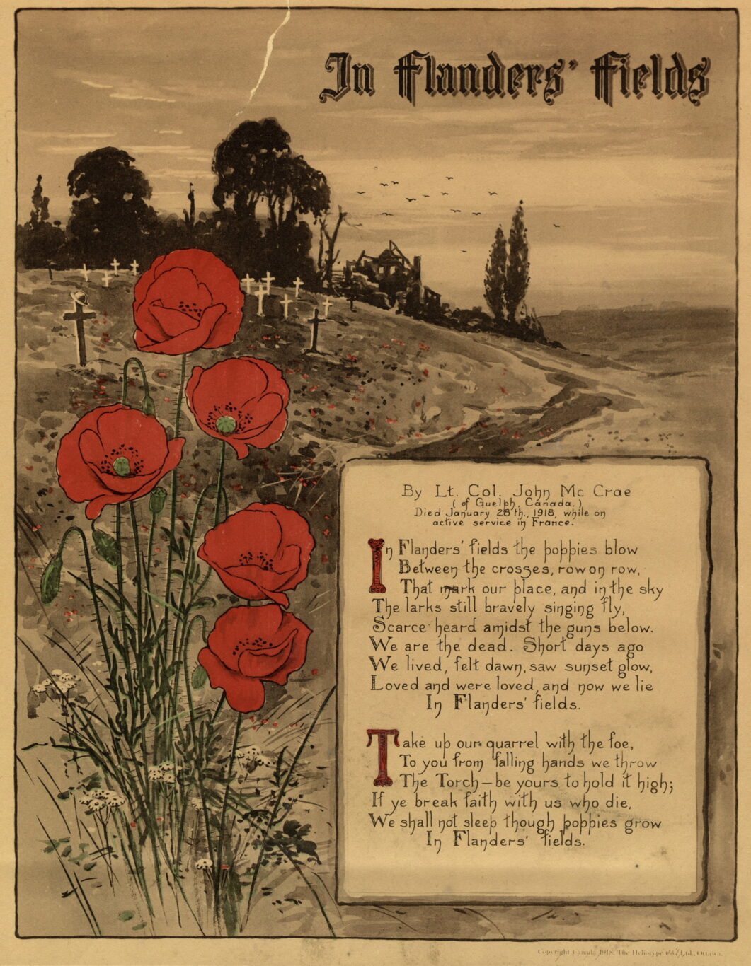 In Flanders Field