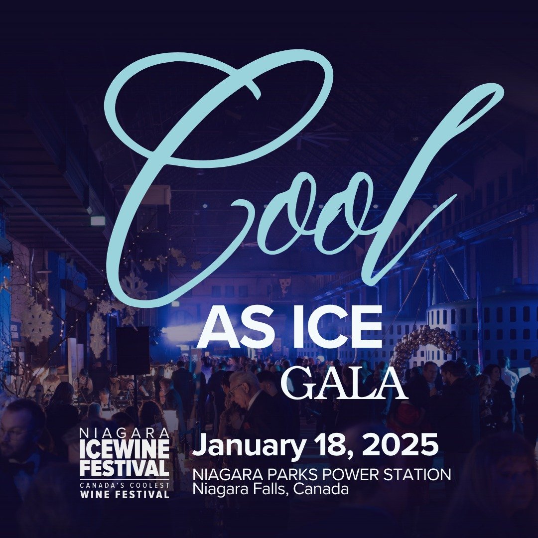 Cool as Ice Gala