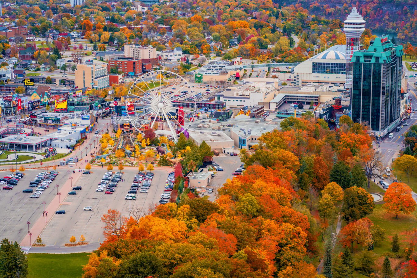 Clifton Hill Autumn