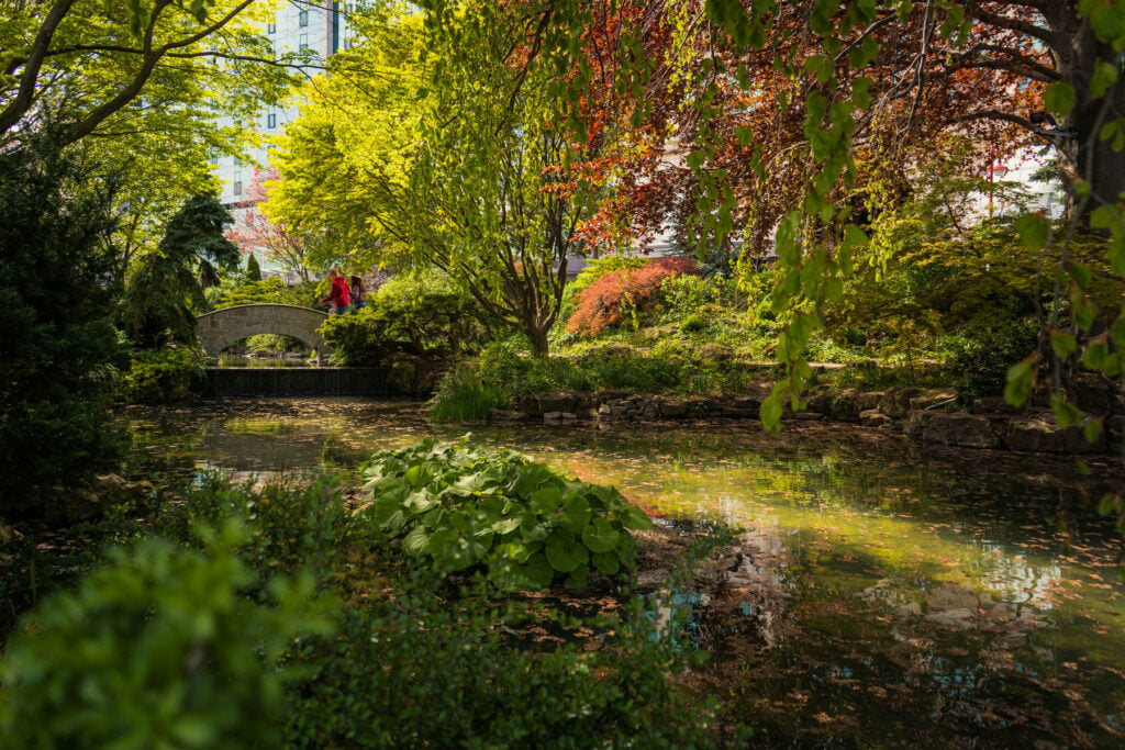 Oakes Garden Theatre Romance on Clifton Hill