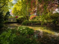 Oakes Garden Theatre Romance on Clifton Hill