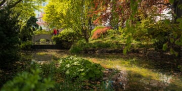 Oakes Garden Theatre Romance on Clifton Hill