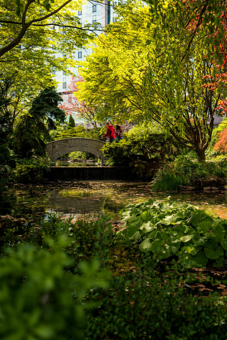 oakes garden theatre fall