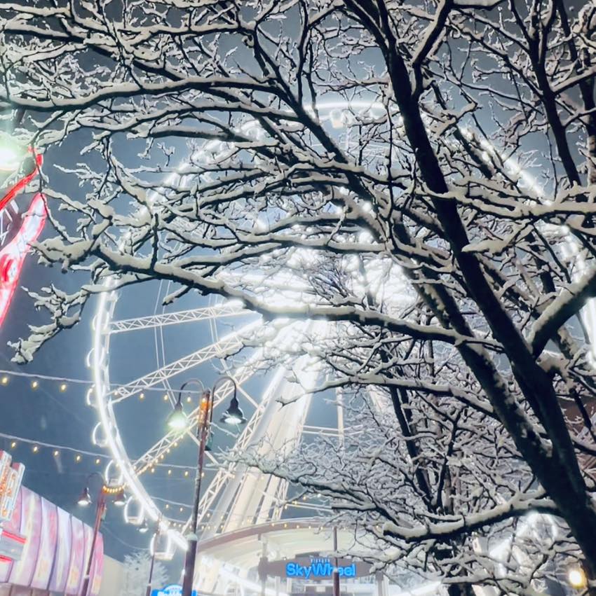 SkyWheel Winter