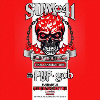 Sum 41 Live Performance