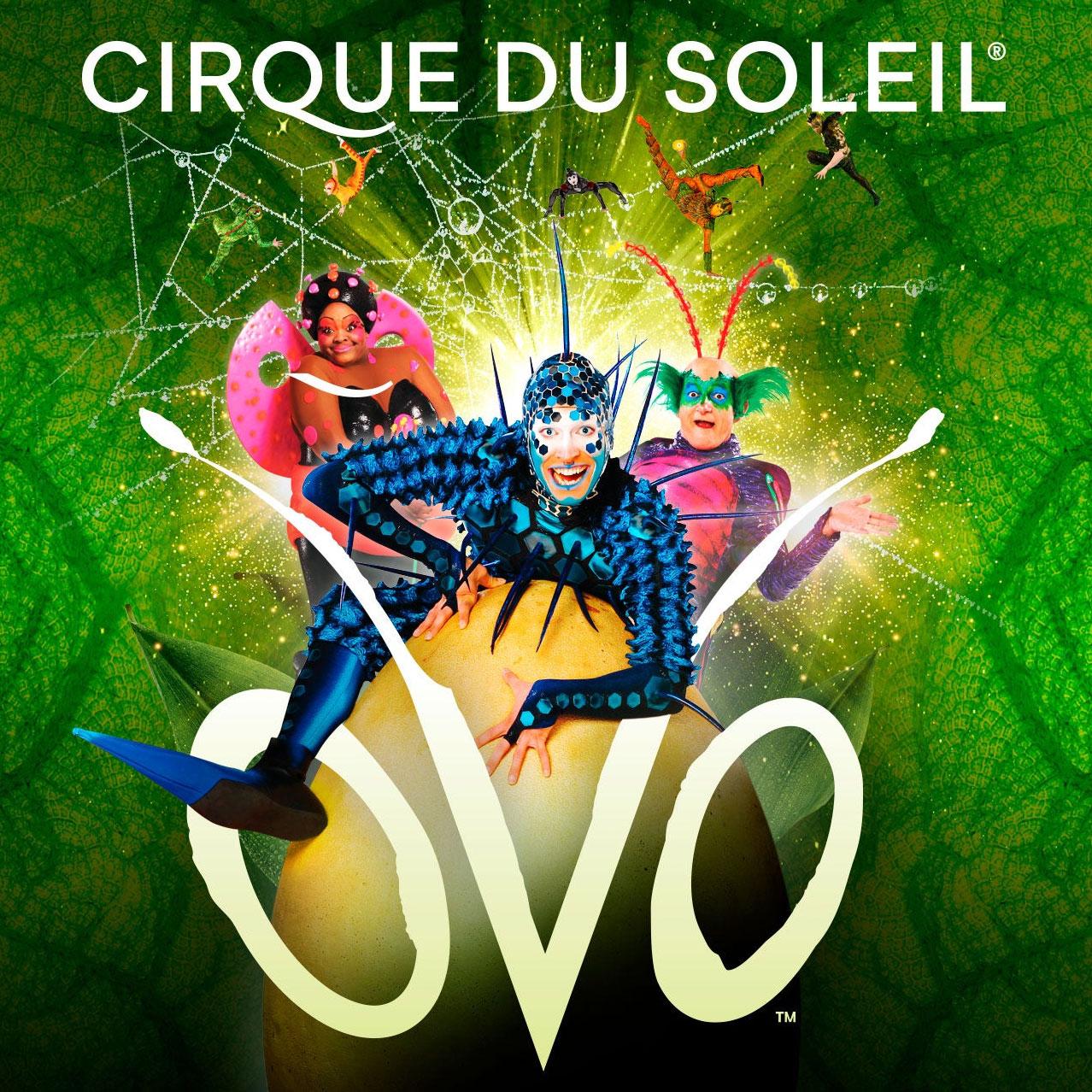 Cirque du Soleil OVO