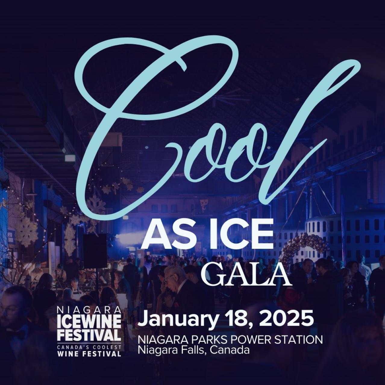 Cool As Ice Gala