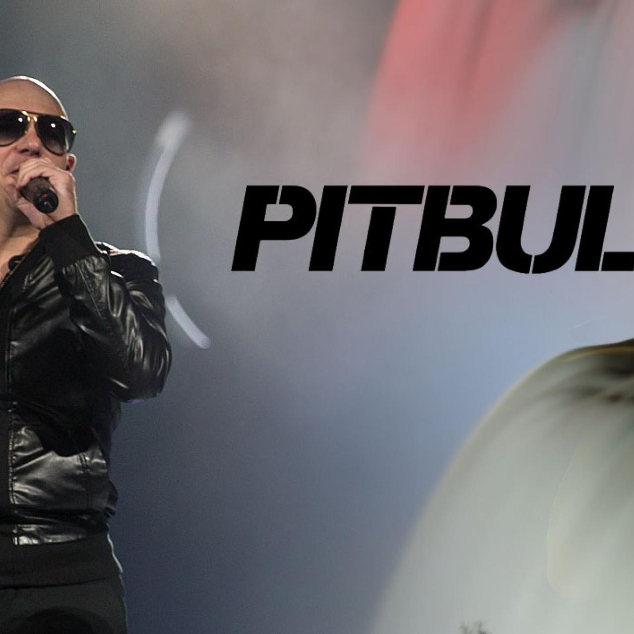 Pitbull Niagara Falls